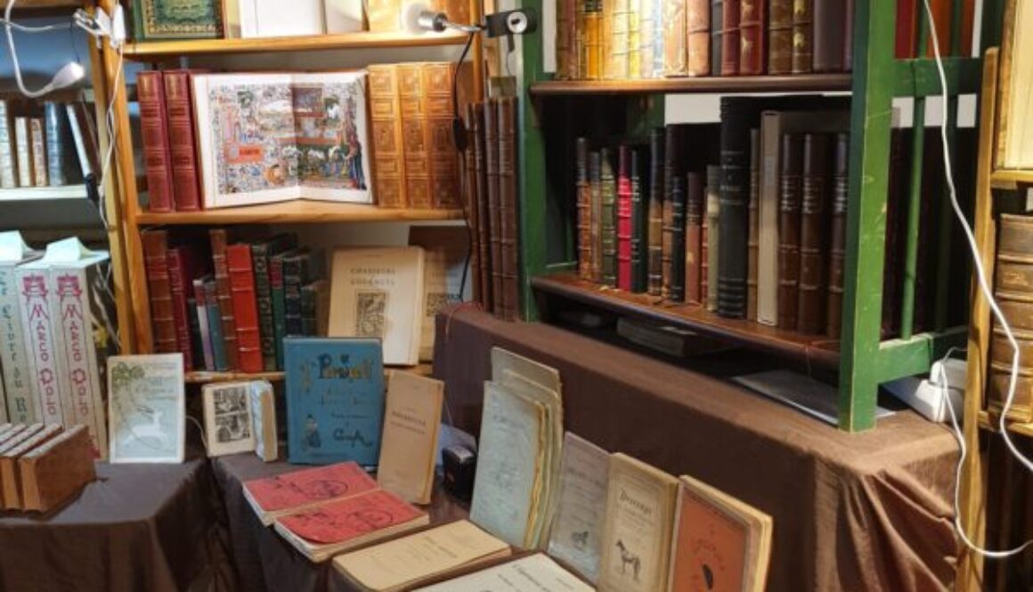 2023-melun-salon-livre-23 at 16.20.33 (2)